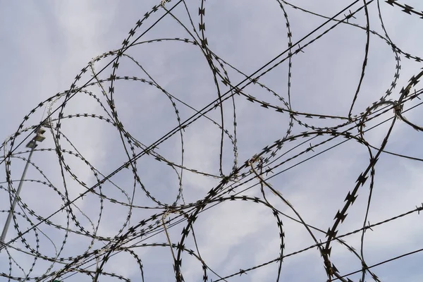 Coils of sharp razor wire tangled against a bleak, cloudy sky, symbolizing prison, borders, and lack of freedom.