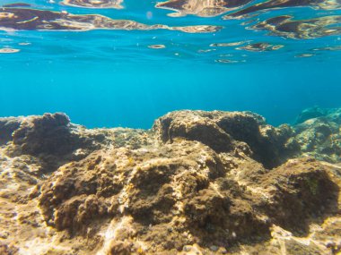 A serene underwater seascape of a sunlit rocky reef in the transparent turquoise sea of the French Riviera, Cap Ferrat.