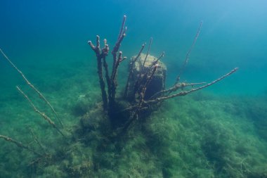 A mysterious underwater scene of submerged Soviet prison ruins overgrown with algae in the clear waters of Rummu quarry, Estonia.