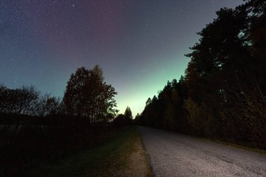 Bir köy yolu, Estonya 'da yeşil aurora borealis ile güzel yıldızlı bir gökyüzünün altında karanlık bir ormana çıkar..