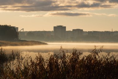 Tallinn, Estonya 'da Harku Gölü üzerinde puslu sonbahar gündoğumu, Oismae bölgesinin ufuk çizgisini aydınlatan altın ışıkla.