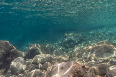 Açık turkuaz su yüzeyinden süzülen parlak güneş ışığıyla kaplı kayalık bir deniz yatağının sualtı görüntüsü.
