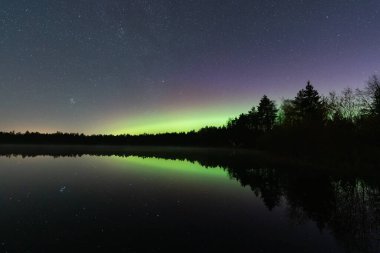 Canlı Yeşil Aurora Borealis, Vahşi Estonya Doğa 'sında Yıldızlı Gece Gökyüzünün Altındaki Huzurlu Orman Gölü' ne Yansıtılıyor.