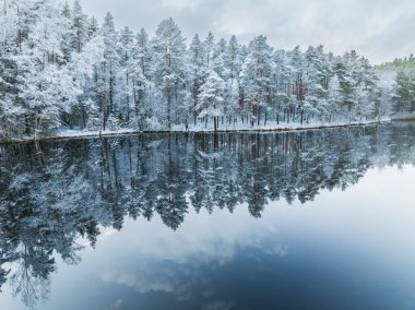 Estonya 'daki çözülmemiş Suur Kaksjarv Gölü' nün karlı çam ağaçları karanlık sulara yansıyan hava aracı görüntüsü. 