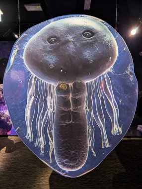 TALLINN, ESTONIA - 23, 2025: Uzay temalı bir fotoğraf sergisinde uzaylı yüzünü andıran mikroskobik Anemone larvasının yer aldığı aydınlatılmış büyük ölçekli bir ekran.