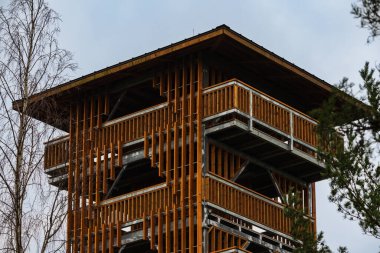 Modern Tahta Gözlem Kulesi Gri Gökyüzüne Karşı Ayakta Durmakta, Luitemaa Doğa Rezervindeki Tolkuse Bataklığına Bakmaktadır, Estonya.