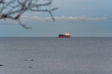 Büyük bir kargo gemisi bulutlu bir günde Tallinn, Estonya yakınlarındaki Baltık Denizi 'nin sakin ufkunda yol alıyor..