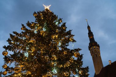 Tallinn Eski Kasabası Estonya 'daki Tarihi Belediye Binası' nın önündeki Altın Mücevherlerle süslenmiş Muhteşem Noel Ağacı.