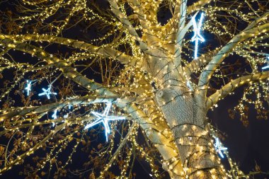 Parlayan mavi neon yıldızları ile sıcak altın peri ışıklarına sarılı görkemli ağaç gövdesi karanlık bir kış gecesi gökyüzüne karşı.