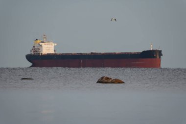 Büyük bir yük gemisi Baltık Denizi 'nde Estonya kıyılarında uçuyor. Gökyüzünde bir martı uçuyor..