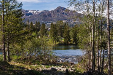 Akan bir nehir, yemyeşil ormanlar ve görkemli bir kayanın altına yerleştirilmiş geleneksel dağ kulübelerinin yer aldığı huzurlu Norveç manzarası..