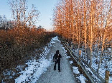 Karlı bir yolda yürüyen birinin yüksek açılı insansız hava aracı görüntüsü. Estonya 'da, altın günbatımı ormanlarında..