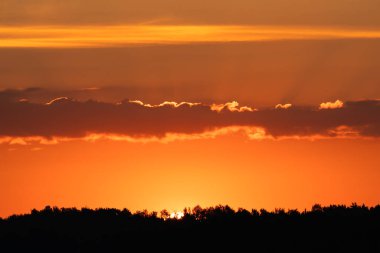 Estonya 'da karanlık orman siluetinin üzerinde güzel altın bir gün batımı dramatik turuncu gökyüzü ve kışın bulutların arasında parlayan güneş..