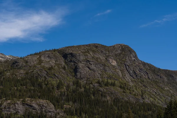 Norveç 'te güneşli bir yaz gününde açık mavi gökyüzü altında yeşil çam ormanıyla görkemli kayalık dağ zirvesi.