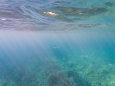 Güneş ışınları kristal berrak mavi okyanus su yüzeyini yeşil deniz yosunlarıyla kaplı kayalık bir deniz yatağına nüfuz eder..