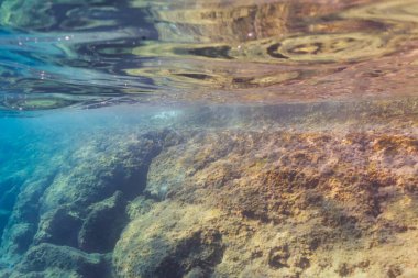 Akdeniz 'in berrak turkuaz sularındaki kayalık deniz yatağının Saint Jean Cap Ferrat Fransa' daki sualtı manzarası.