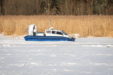 Beyaz ve mavi hovercraft kurtarma operasyonları için parlak kış güneşi altında kuru sarı kamışların yanında donmuş bir nehir yüzeyinde süzülüyor..