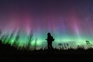 Ormanda duran bir sırt çantasının silueti yıldızlı bir gece gökyüzü altında canlı yeşil ve mor Aurora Borealis 'i izliyor..