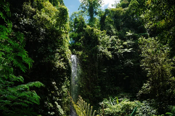 Ver a cachoeira — Fotografia de Stock