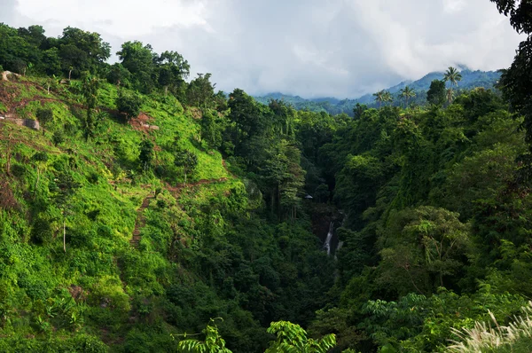 Vue sur la cascade (Aling Aling ) — Photo