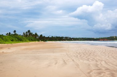 Weligama Bay, Sri Lanka boş plaj