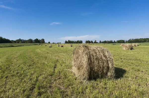 Rolling haystacks in countryside. Stock Image