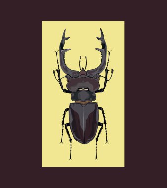 Lucanus cervus illüstrasyon vektör