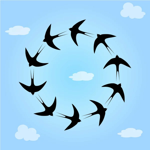 Avaler les oiseaux dans le ciel — Image vectorielle