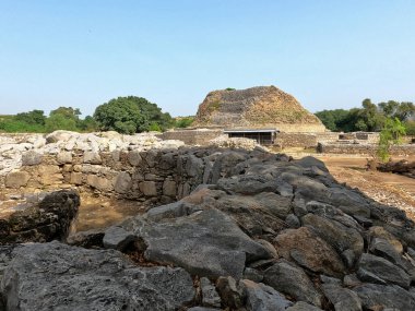 Dharmarajika Buddhist heritage site Taxila Pakistan with ancient stone ruins and stupa remains under clear sky on sunny day