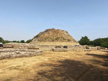 Dharmarajika heritage site ancient Buddhist stupa with tree standing under clear blue sky in Taxila ruins
