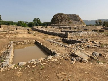 Dharmarajika Stupa ruins and sacred pond showing ancient Buddhist architecture