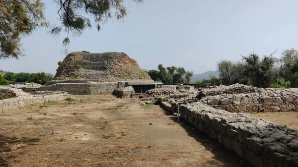 Panoramic view of ancient Dharmarajika Stupa in Taxila surrounded by historic ruins and Buddhist heritage