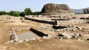 Serene view of the holy pond at Dharmarajika Stupa surrounded by historic Buddhist ruins