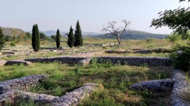 Panoramic view of ancient Sirkap city surrounded by lush greenery and historic Gandhara ruins