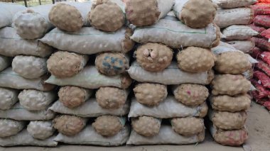 Pazar zeminine yerleştirilmiş taze patateslerle dolu çuvallar tarımı ve günlük toptan ticareti ön plana çıkarıyor.