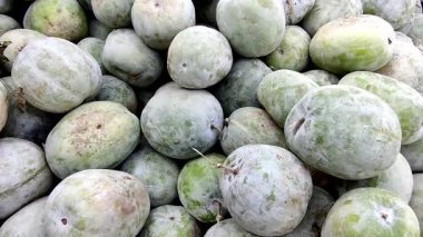 Tedarikçi, Pakistan yerel pazarında taze mevsimlik üretim ve kamu ticaretini vurgulayan büyük bir yığın kül kabağı düzenliyor.