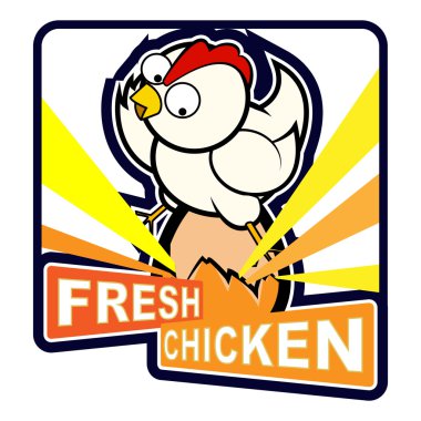 tavuk yumurta üzerinde oturan