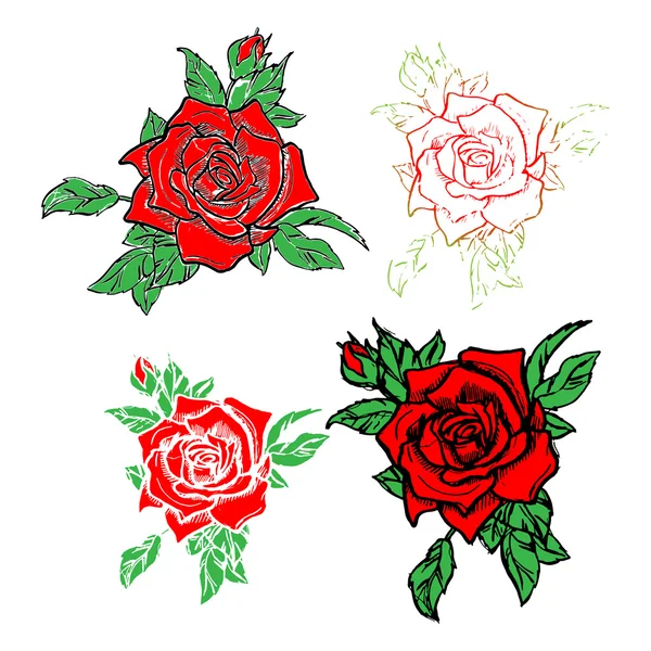 Kırmızı bir gülün vektör illüstrasyonu.
