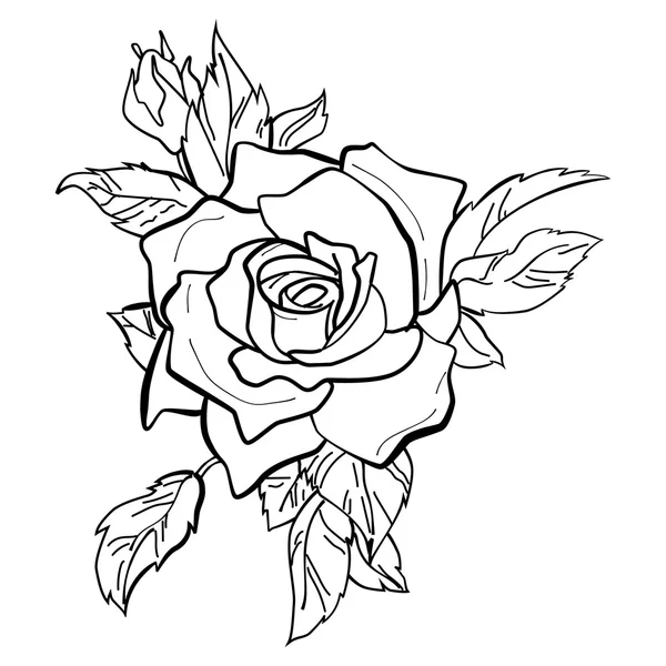 Kırmızı bir gülün vektör illüstrasyonu