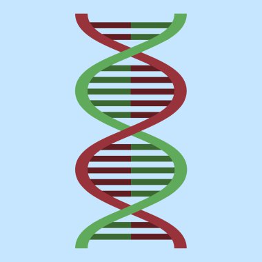 Vektör renk illüstrasyon Dna simgesi düz