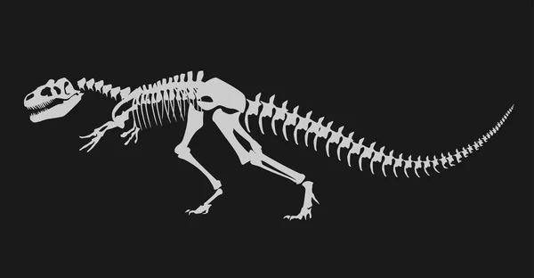 Ilustrace z dinosauřích kostí — Stockový vektor