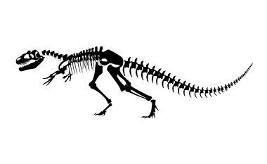Dinazor kemikleri vektör Illustration. Beyaz arka plan üzerinde izole Tyrannosaur'u iskelet.
