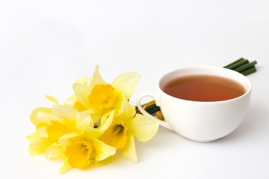 Fincan çay ve Nergis