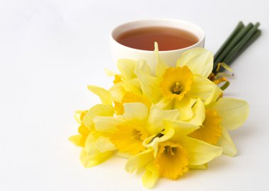 Fincan çay ve Nergis