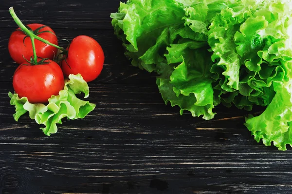 Asma ve salata domates — Stok fotoğraf