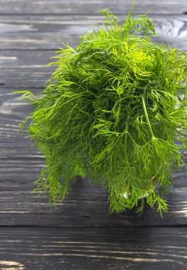 Demet taze organik dereotu