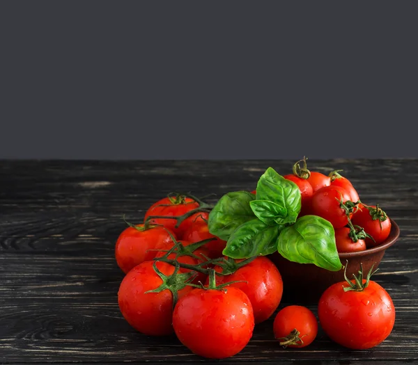 Tomatoes on vine and green basil — Stock Photo, Image