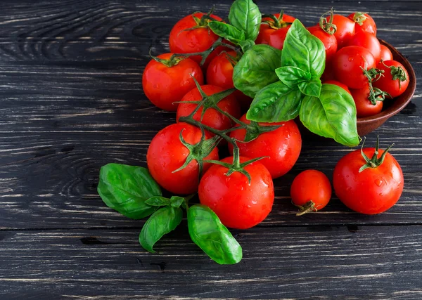 Tomates sobre vid y albahaca verde —  Fotos de Stock