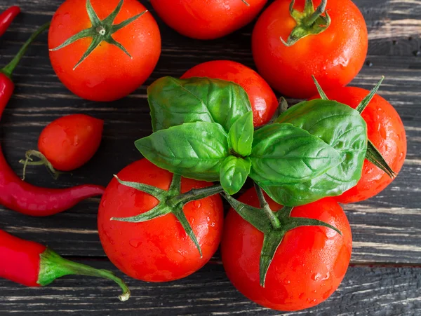 Tomaten op vine, rode peper en groene basilicum — Stockfoto