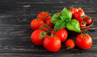 Asma ve yeşil fesleğen domates